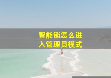 智能锁怎么进入管理员模式