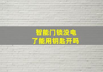 智能门锁没电了能用钥匙开吗