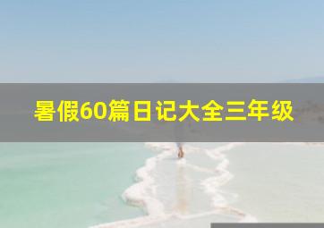 暑假60篇日记大全三年级