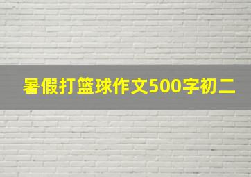 暑假打篮球作文500字初二