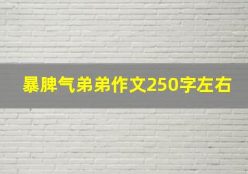 暴脾气弟弟作文250字左右