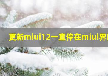 更新miui12一直停在miui界面