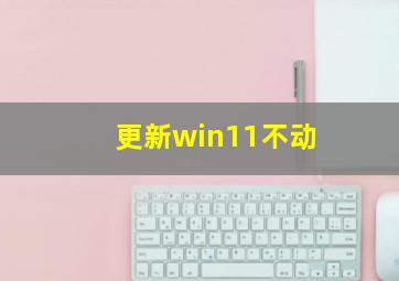 更新win11不动