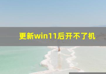 更新win11后开不了机