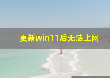 更新win11后无法上网