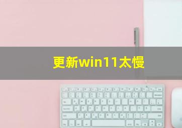 更新win11太慢