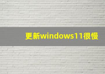 更新windows11很慢