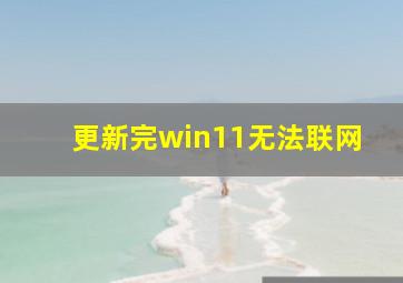 更新完win11无法联网