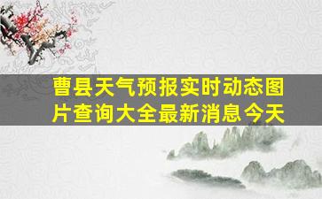 曹县天气预报实时动态图片查询大全最新消息今天