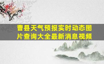 曹县天气预报实时动态图片查询大全最新消息视频