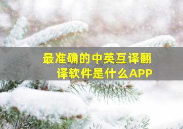 最准确的中英互译翻译软件是什么APP