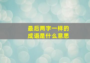 最后两字一样的成语是什么意思