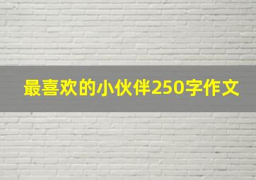 最喜欢的小伙伴250字作文