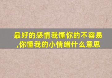 最好的感情我懂你的不容易,你懂我的小情绪什么意思