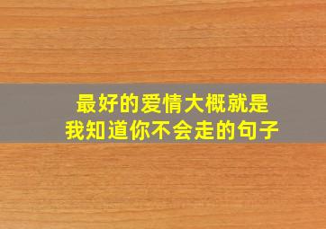 最好的爱情大概就是我知道你不会走的句子