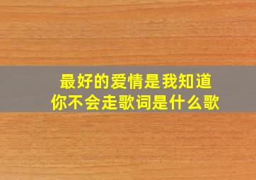 最好的爱情是我知道你不会走歌词是什么歌