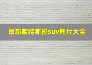 最新款特斯拉suv图片大全