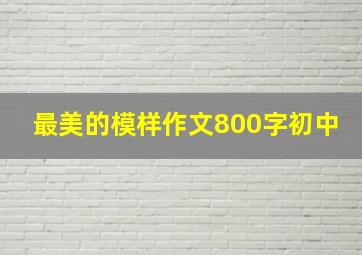 最美的模样作文800字初中