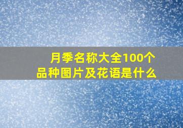 月季名称大全100个品种图片及花语是什么