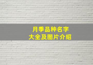 月季品种名字大全及图片介绍