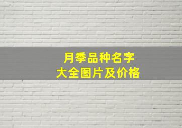 月季品种名字大全图片及价格