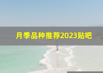 月季品种推荐2023贴吧