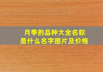 月季的品种大全名称是什么名字图片及价格