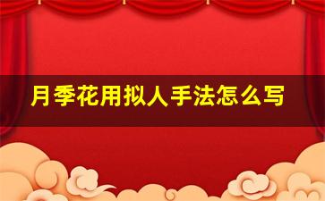 月季花用拟人手法怎么写