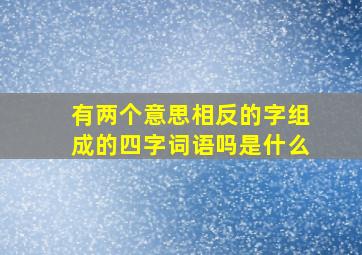 有两个意思相反的字组成的四字词语吗是什么