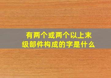 有两个或两个以上末级部件构成的字是什么