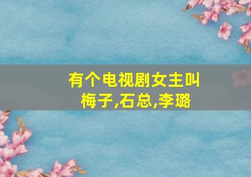 有个电视剧女主叫梅子,石总,李璐