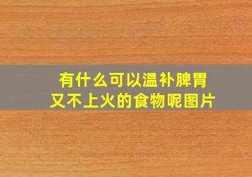 有什么可以温补脾胃又不上火的食物呢图片