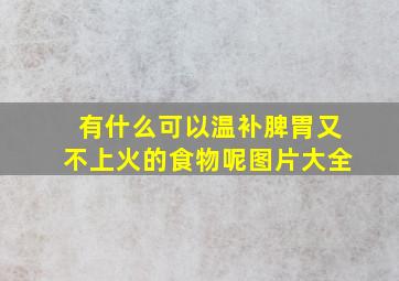 有什么可以温补脾胃又不上火的食物呢图片大全