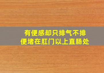 有便感却只排气不排便堵在肛门以上直肠处