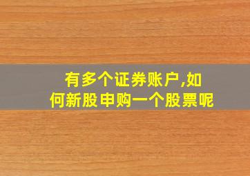 有多个证券账户,如何新股申购一个股票呢