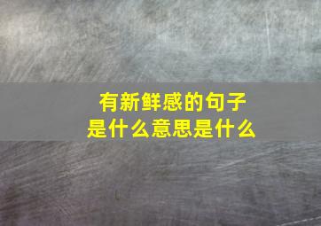 有新鲜感的句子是什么意思是什么