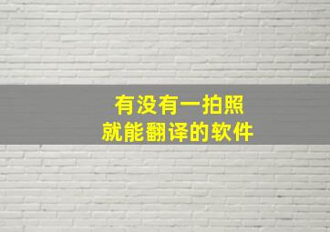 有没有一拍照就能翻译的软件