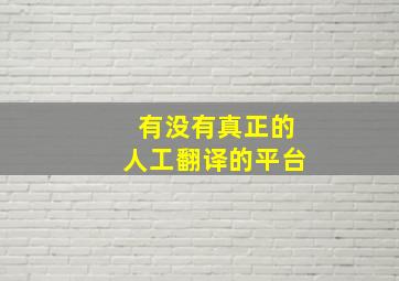 有没有真正的人工翻译的平台