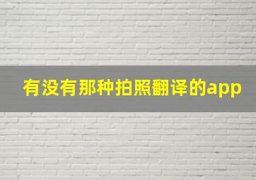 有没有那种拍照翻译的app