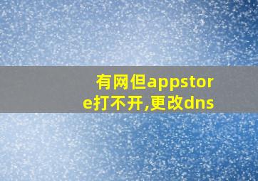 有网但appstore打不开,更改dns