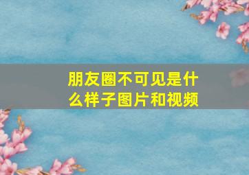 朋友圈不可见是什么样子图片和视频