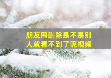 朋友圈删除是不是别人就看不到了呢视频