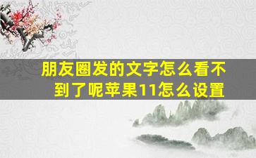 朋友圈发的文字怎么看不到了呢苹果11怎么设置