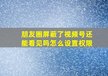 朋友圈屏蔽了视频号还能看见吗怎么设置权限