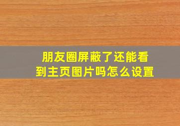 朋友圈屏蔽了还能看到主页图片吗怎么设置