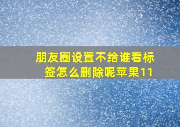 朋友圈设置不给谁看标签怎么删除呢苹果11