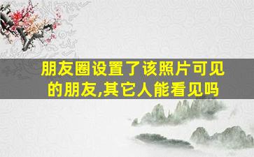 朋友圈设置了该照片可见的朋友,其它人能看见吗