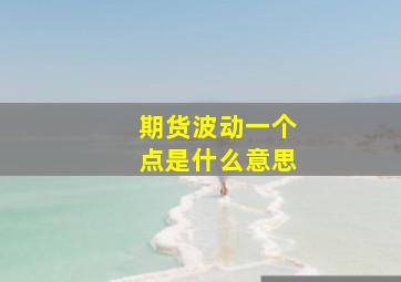 期货波动一个点是什么意思