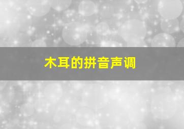 木耳的拼音声调