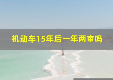 机动车15年后一年两审吗